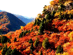 河北蒼巖山風光